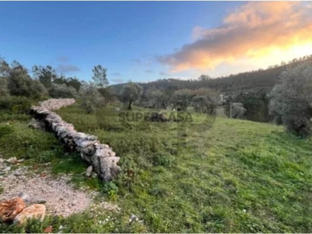 Terreno venda em Porto De Mós, Leiria