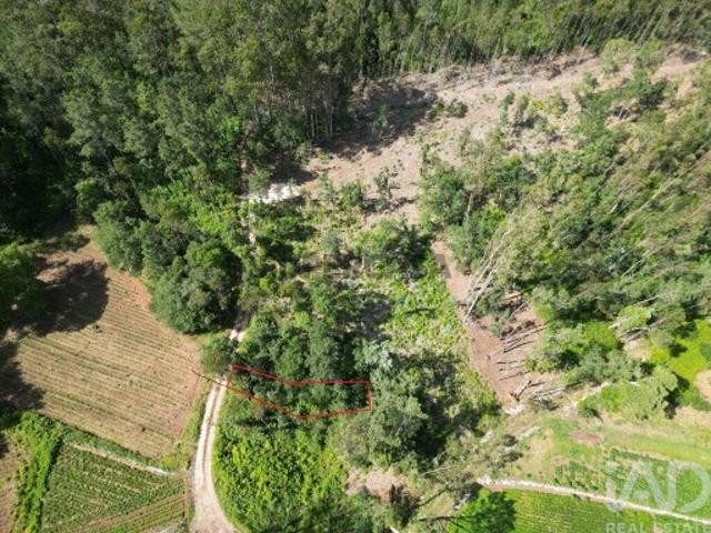 Terreno venda em Porto De Mós, Leiria