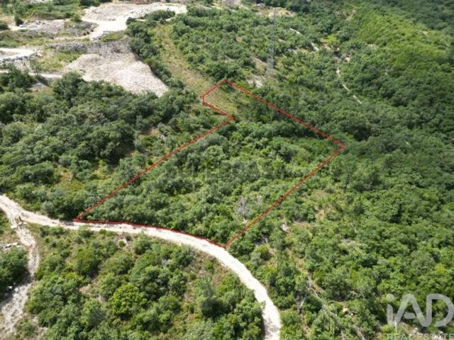 Terreno venda em Porto De Mós, Leiria