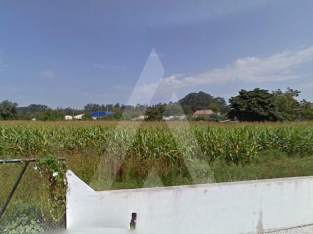 Terreno venda em Albergaria-a-velha, Aveiro