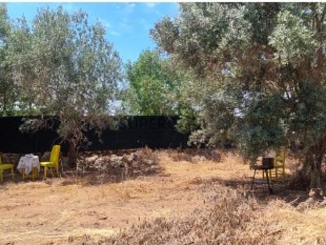 Terreno venda em Loulé, Faro