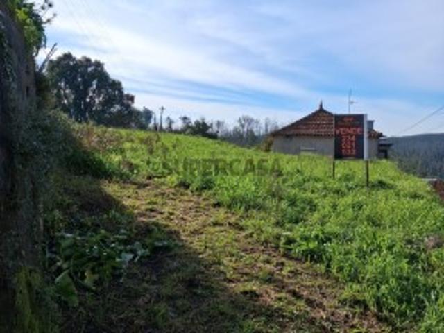 Terreno venda em Albergaria-a-velha, Aveiro