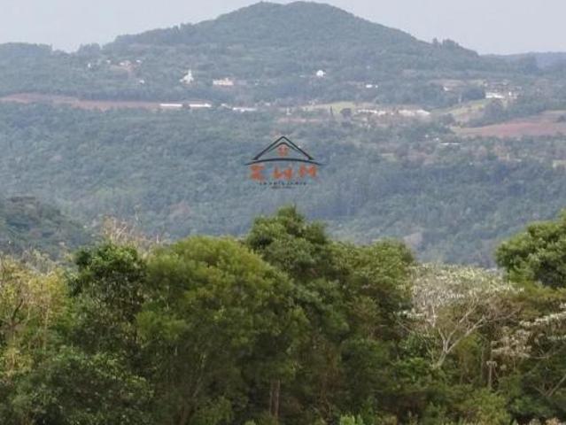 Terreno venda em Região Geográfica Imediata de Caxias do Sul, Alto Feliz