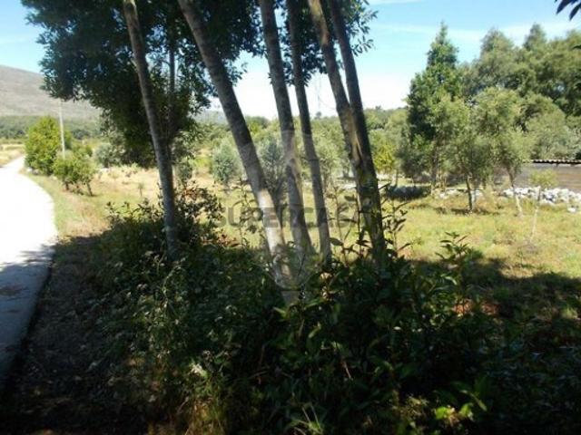 Terreno venda em Casas dos Riscos, Porto De Mós