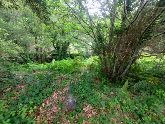 Terreno venda em Horta Cimeira, Pedrógão Grande