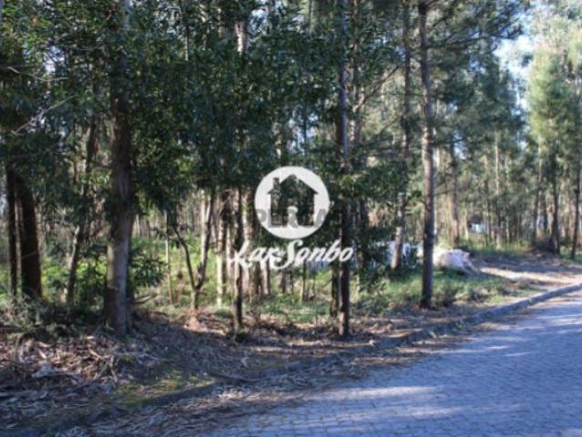 Terreno venda em Alvelos, Arcozelo