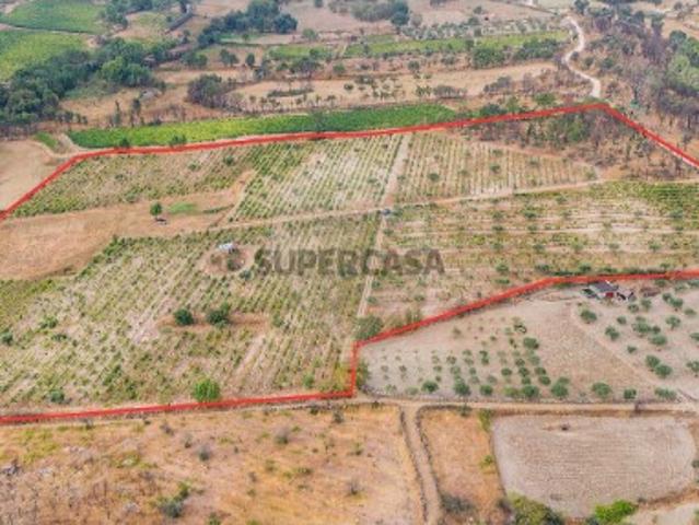 Terreno venda em Alverca da Beira, Alverca da Beira/Bouça Cova