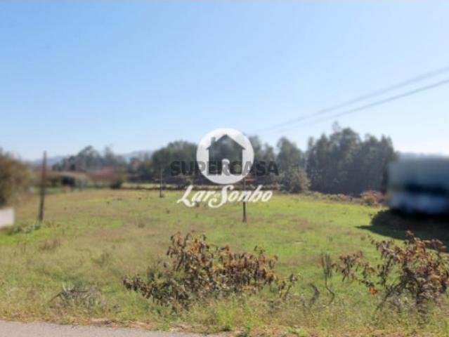 Terreno venda em Alvito (São Pedro e São Martinho) e Couto, Arcozelo