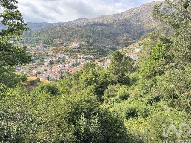 Terreno venda em Alvoco da Serra, Seia