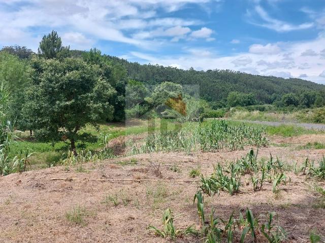 Terreno venda em Caldas Da Rainha, Leiria