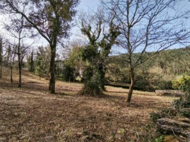 Terreno venda em Viana Do Castelo