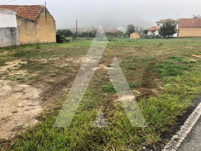 Terreno venda em Anadia, Aveiro