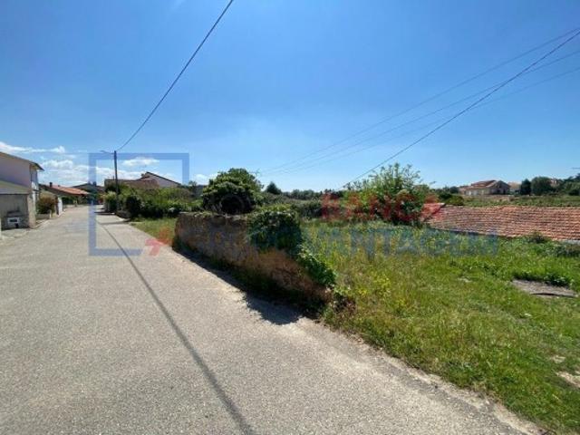 Terreno venda em Anadia, Aveiro