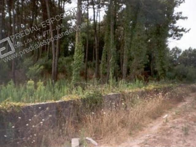 Terreno venda em Amorosa, Viana Do Castelo