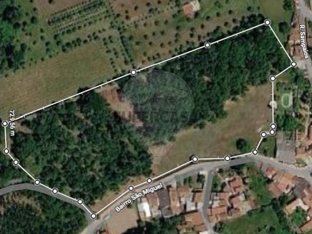 Terreno venda em Cantanhede, Coimbra