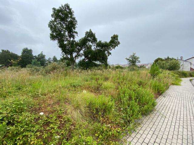 Terreno venda em Cantanhede, Coimbra