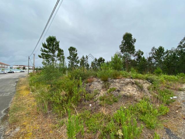 Terreno venda em Cantanhede, Coimbra