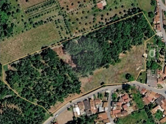Terreno venda em Cantanhede, Coimbra