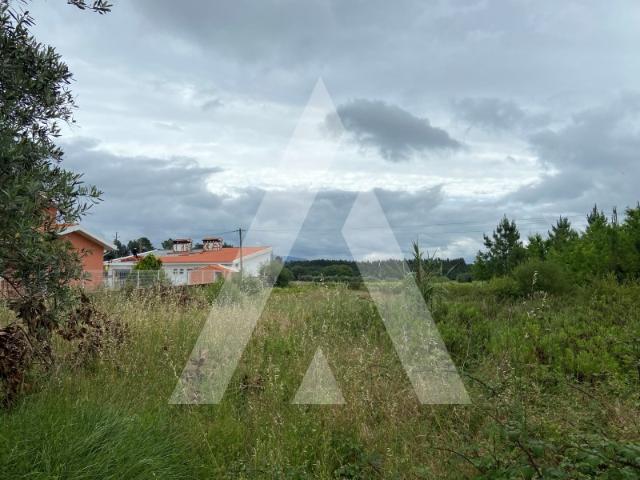 Terreno venda em Anadia, Aveiro