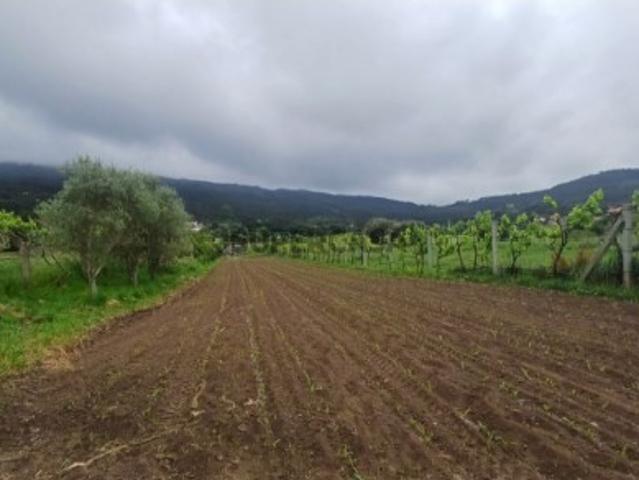 Terreno venda em Arga De Baixo, Viana Do Castelo