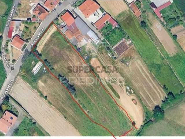 Terreno venda em Albergaria-a-velha, Aveiro