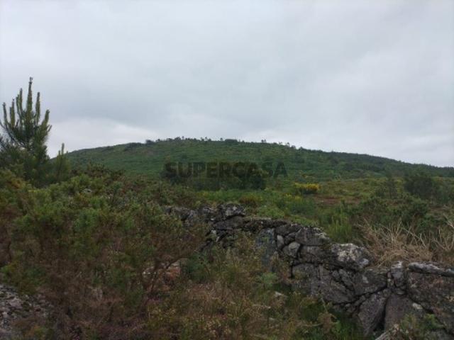 Terreno venda em Carude, Parada Do Bouro
