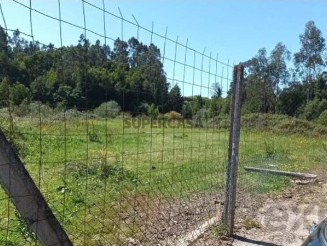 Terreno venda em Anta, Aveiro