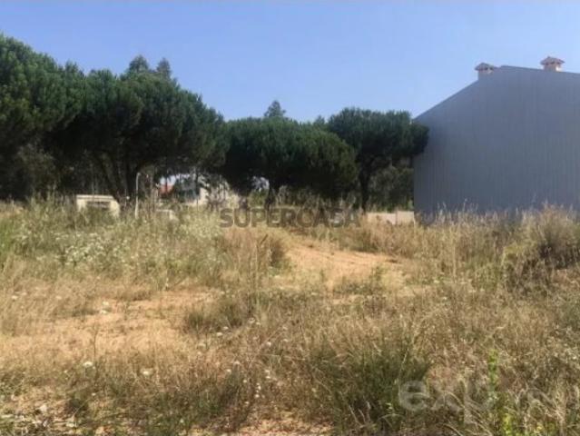 Terreno venda em Anta, Aveiro