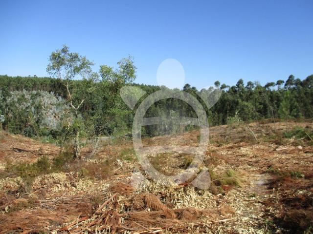 Terreno venda em Coimbrã, Antanhol