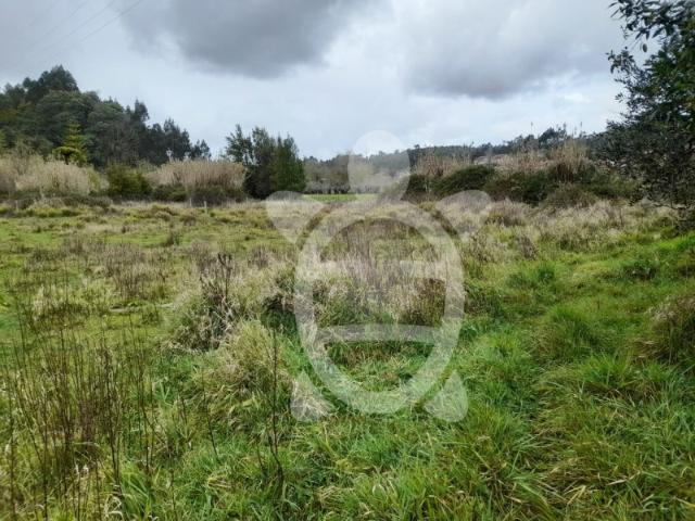 Terreno venda em Coimbrã, Antanhol