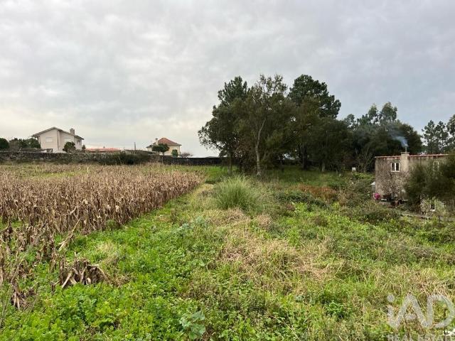Terreno venda em Esposende, Braga