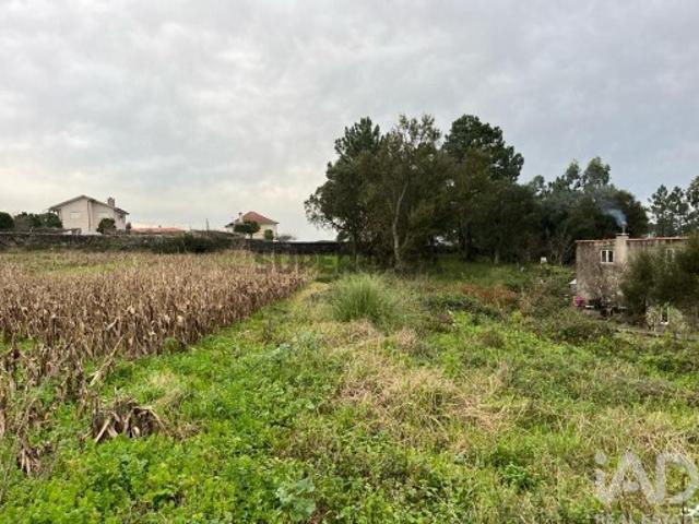 Terreno venda em Esposende, Braga