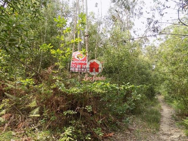 Terreno venda em Gavião, Braga