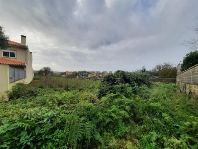 Terreno venda em Esposende Terreno venda em Esposende