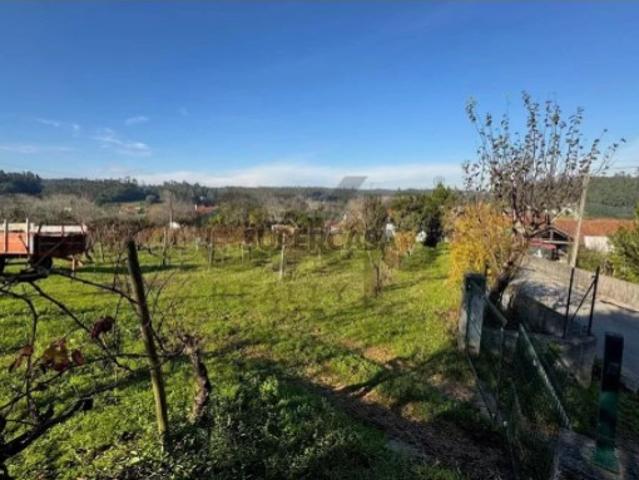 Terreno venda em Coimbrã, Vil De Matos