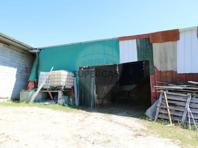Terreno venda em Coimbrã, São João Do Campo