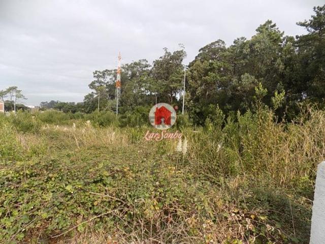 Terreno venda em Esposende, Braga