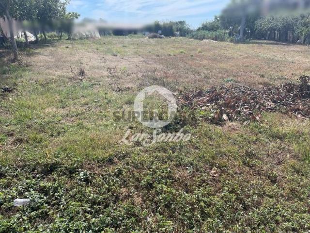 Terreno venda em Esposende, Braga