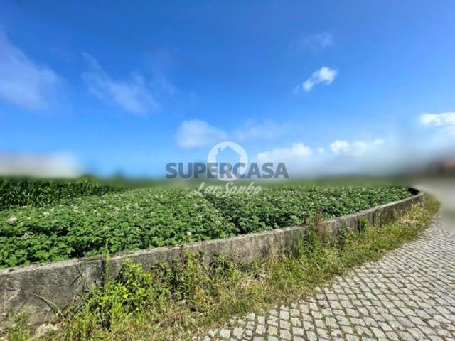 Terreno venda em Esposende