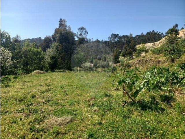 Terreno venda em Arões (São Romão), Fafe