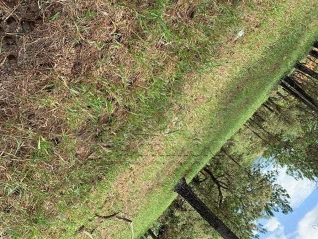 Terreno venda em Região Geográfica Imediata de Goiás - Itapuranga, Nova Crixás