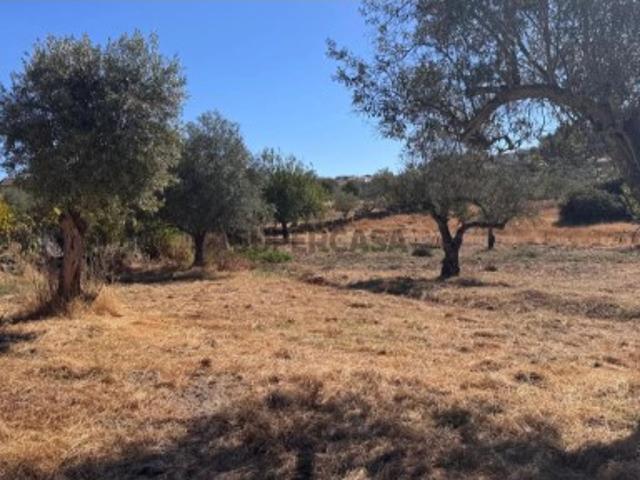 Terreno venda em Castelo Branco, Penamacor