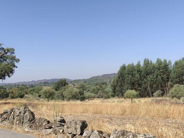 Terreno venda em Castelo Branco, Penamacor