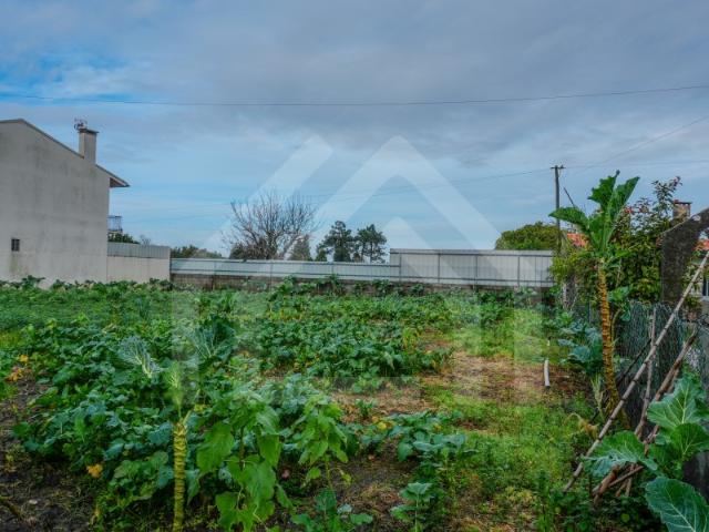 Terreno venda em Casal do Gaio, Montemor-o-velho
