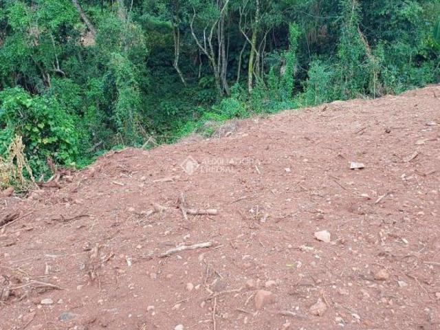 Terreno venda em Região Geográfica Imediata de Caxias do Sul, Nova Petrópolis