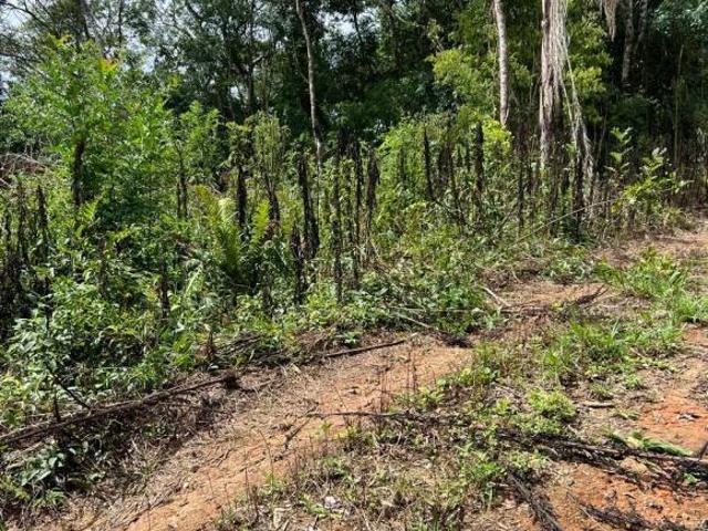 Terreno venda em Região Geográfica Imediata de Curitiba, Região Metropolitana de Curitiba