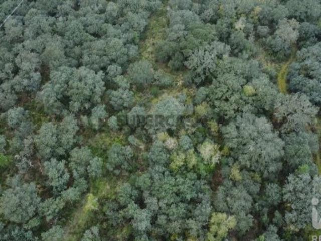 Terreno venda em Rego Da Murta, Santarém