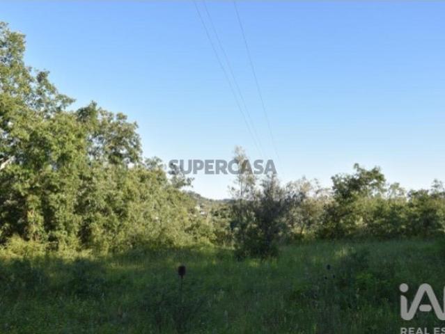 Terreno venda em Rego Da Murta, Santarém