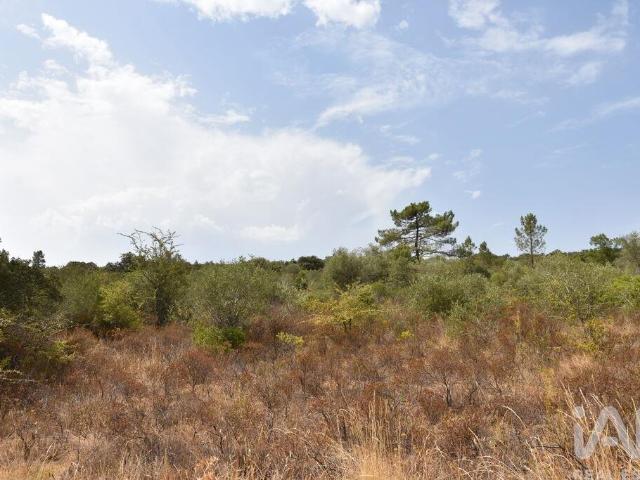 Terreno venda em Rego Da Murta, Santarém