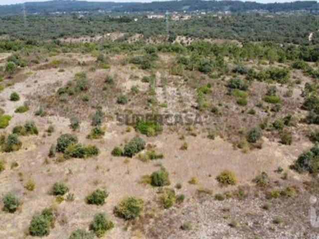 Terreno venda em Rego Da Murta, Santarém